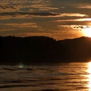 Meet your Posher, Elva